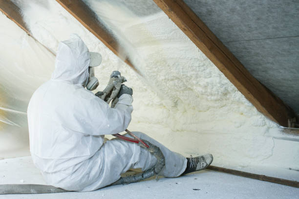 Best Eco-Friendly or Green Insulation Solutions  in Limestone Creek, FL